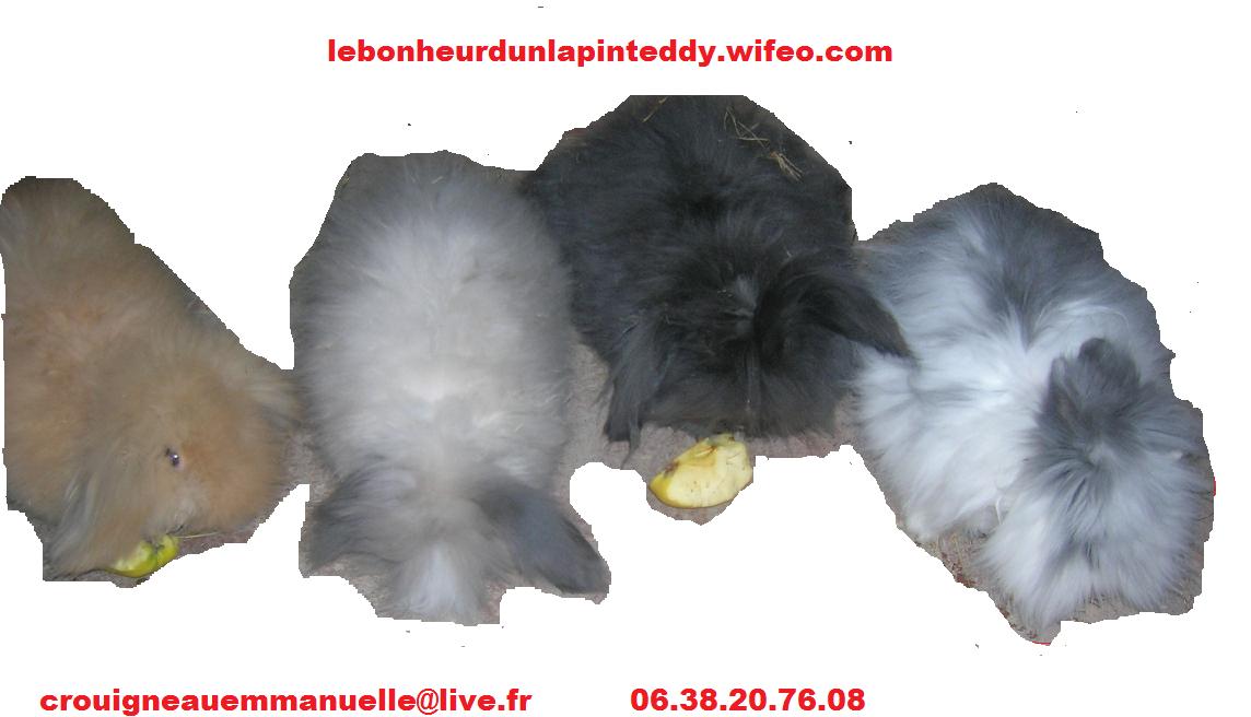 Image agrandie