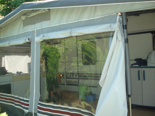 Image agrandie