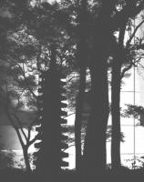 Image agrandie