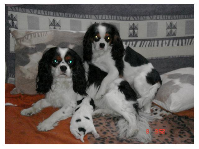 Image agrandie